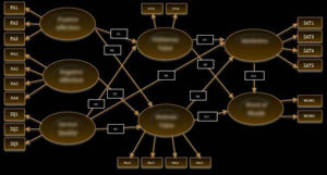 structural equation modelling