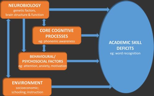 fletcher's visualization of dyslexia